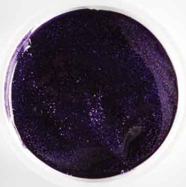 Stardust Glitter E.C. 100gm Purple